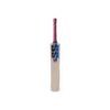 SS Soft Pro Cricket Bat